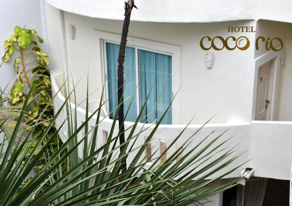 Hotel Casa Coco Rio بلايا ديل كارمن المظهر الخارجي الصورة